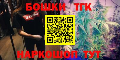 альфа пвп Новодвинск