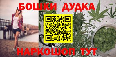 альфа пвп Новодвинск