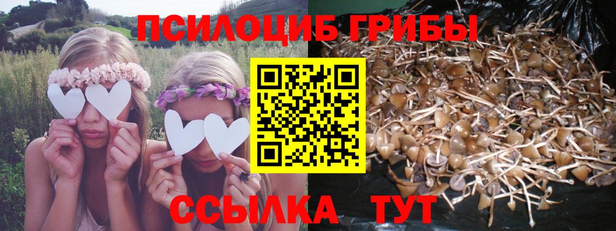 Галлюциногенные грибы мухоморы  Вход с VPN  Симферополь  Галлюциногенные грибы ЛСД 